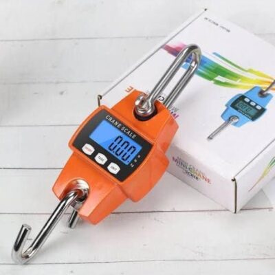 Mini Crane Scale Heavy Duty